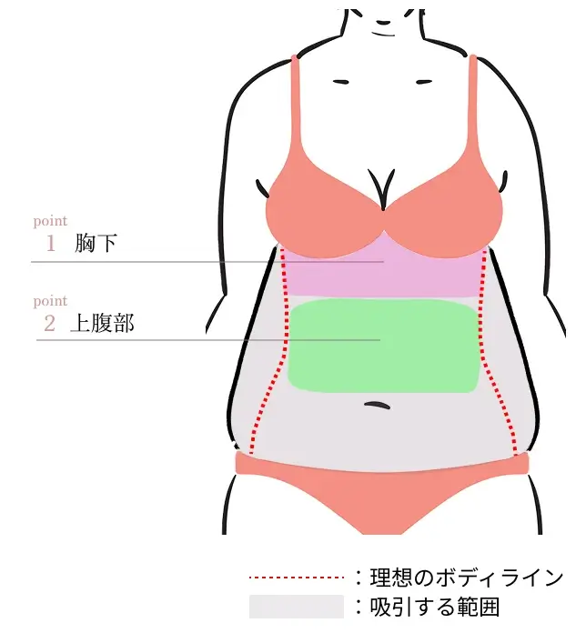 POINT1. 2. 胸下・上腹部