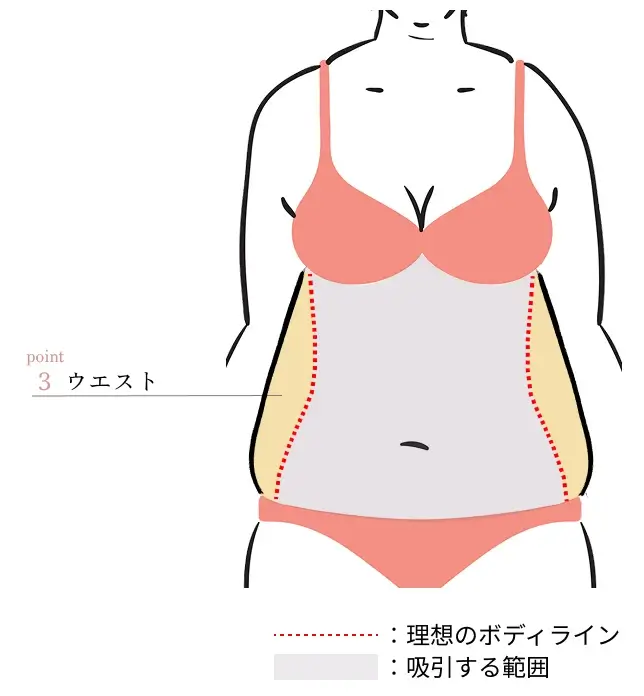 POINT3. ウエスト