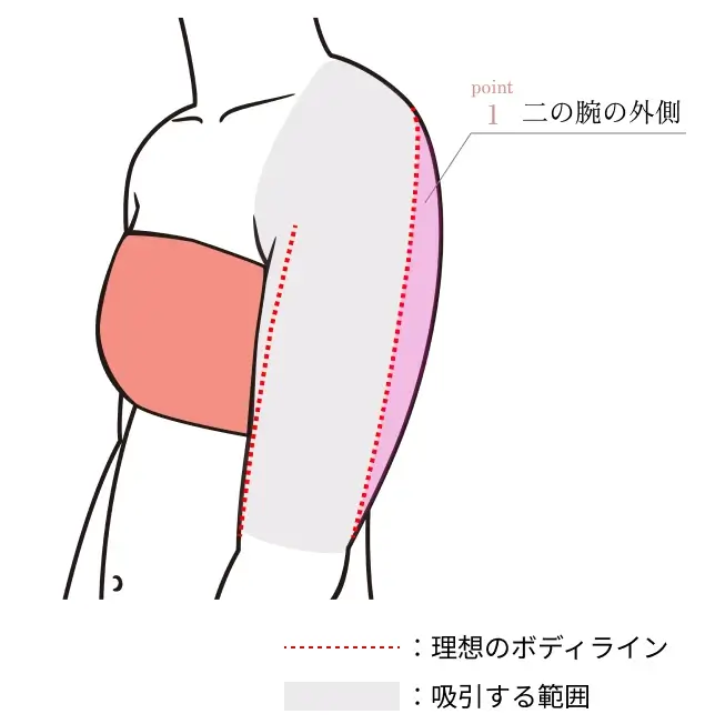 point.1 二の腕の外側