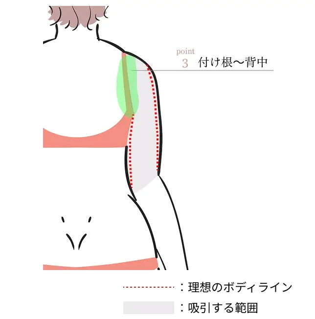 point.3 付け根～背中