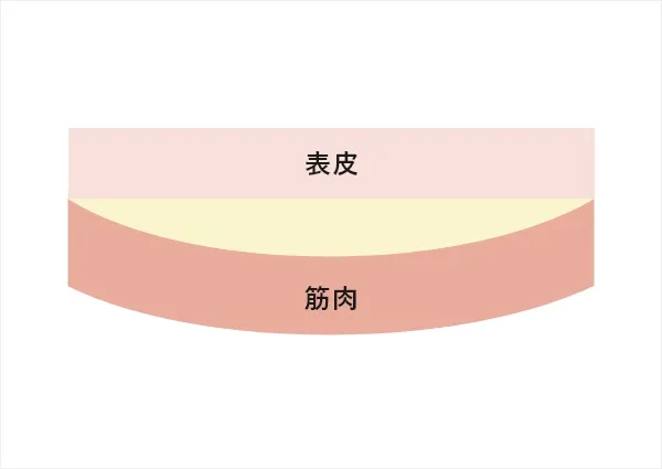 表情じわへの作用