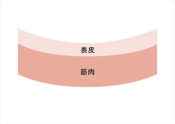 しかし、皮膚に張りがなくなってくると...