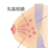 シリコンバッグ豊胸