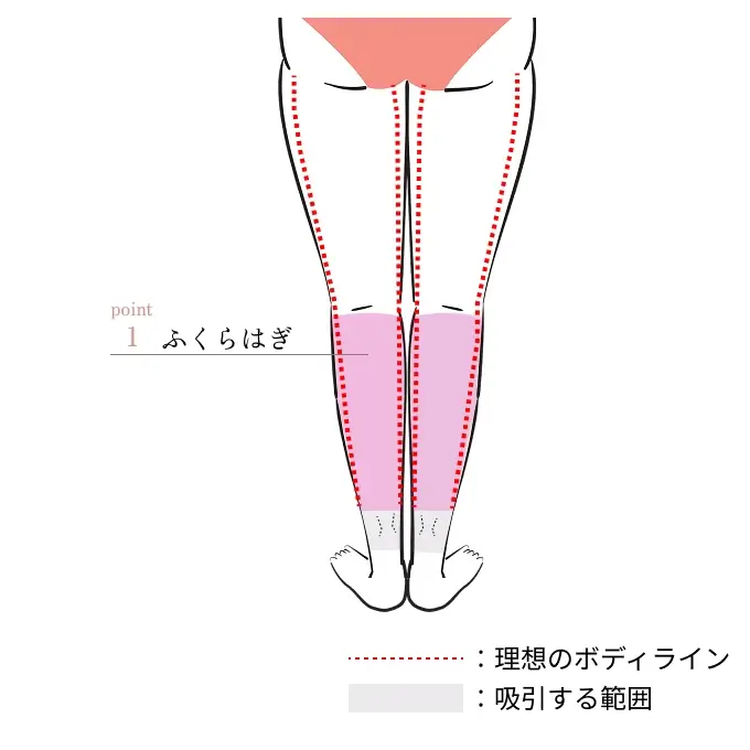 POINT1. ふくらはぎ<