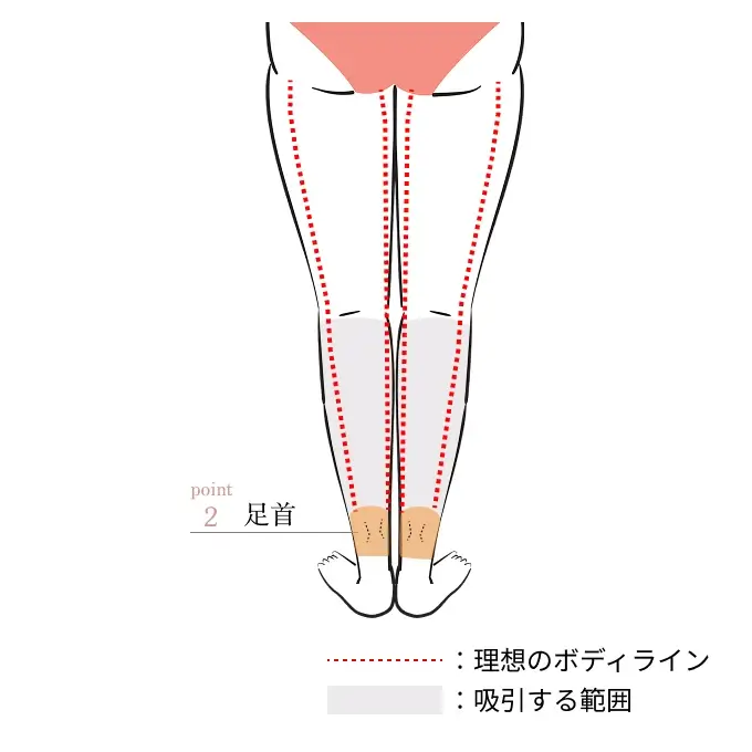 POINT2. 足首（腱の部分）