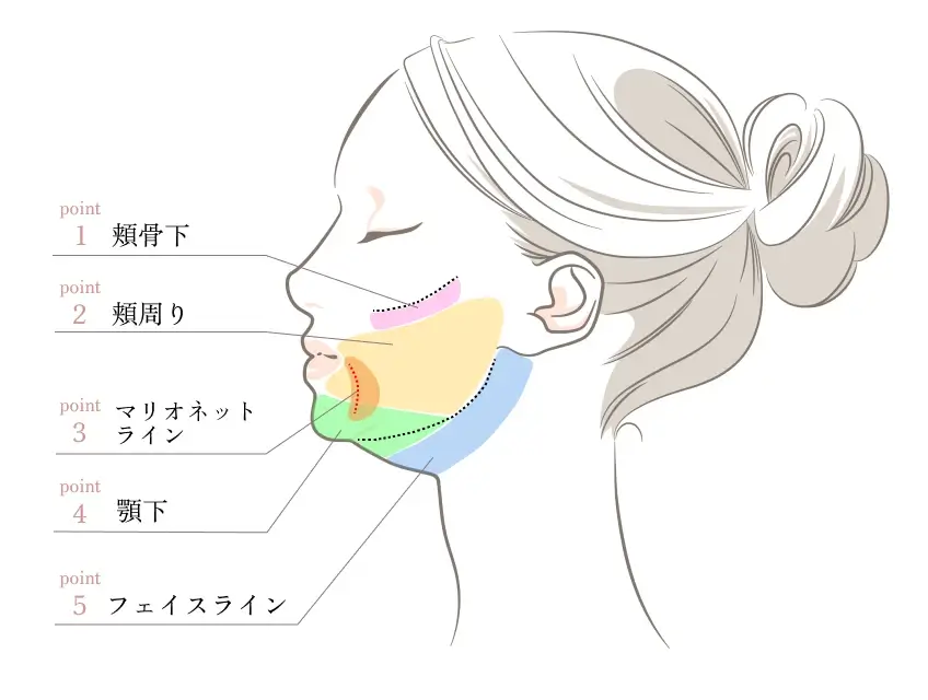 顔の部位別に解説