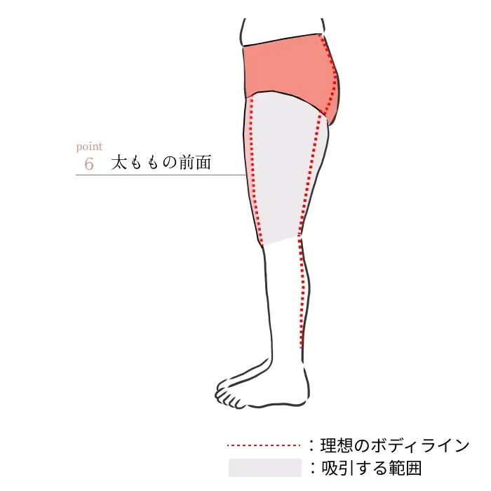 POINT6. 太もも（前面）