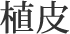 植皮