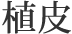 植皮